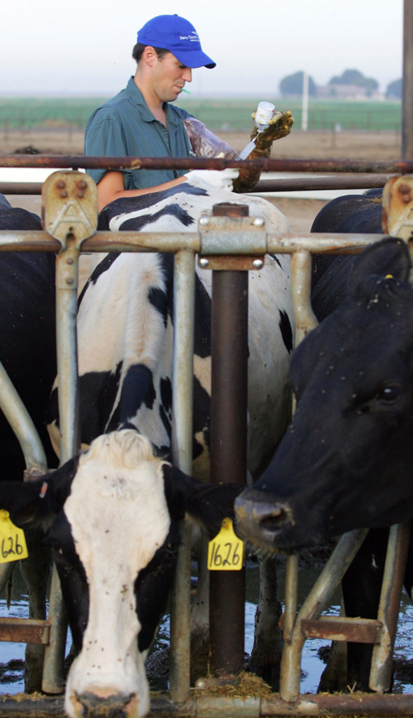 big animal vet near me